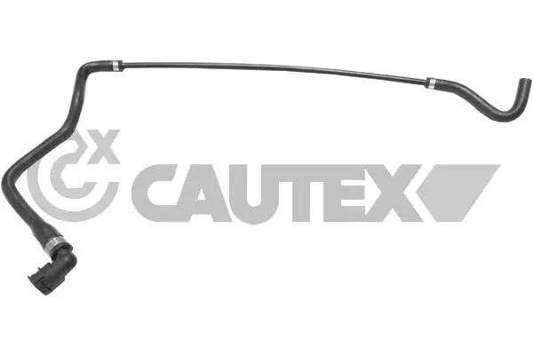 754365 Cautex