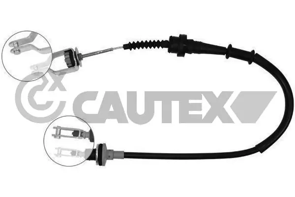 069016 Cautex
