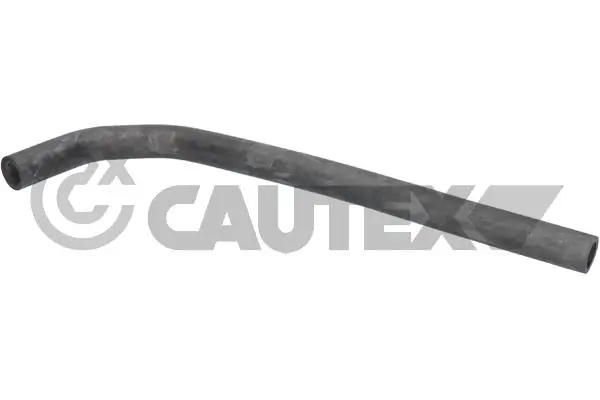 466038 Cautex