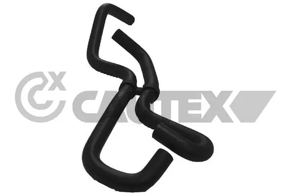 752904 Cautex