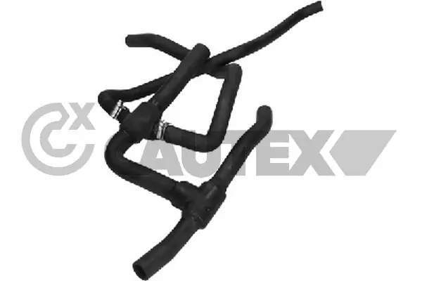 026000 Cautex