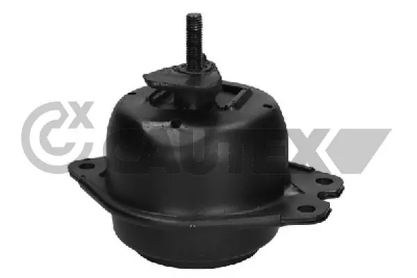 756195 Cautex