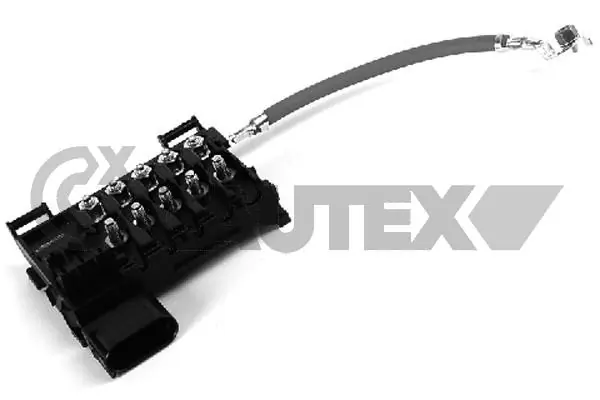 462551 Cautex
