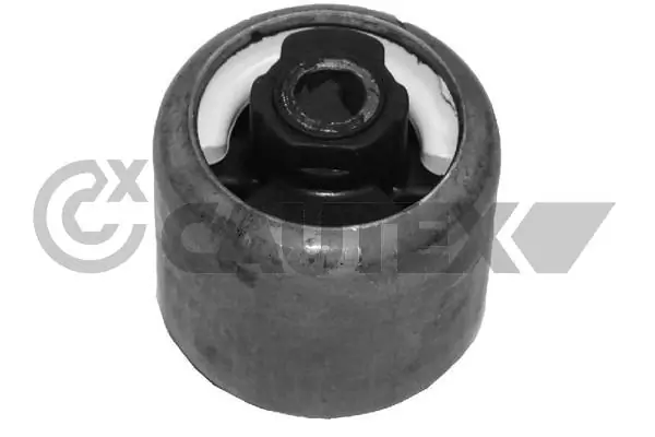 080221 Cautex