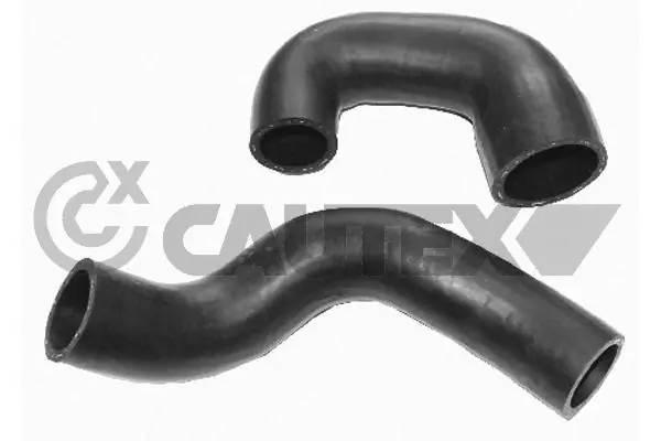 486673 Cautex