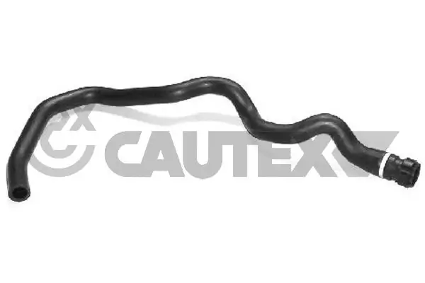 026524 Cautex