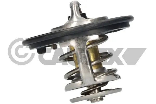 771482 Cautex