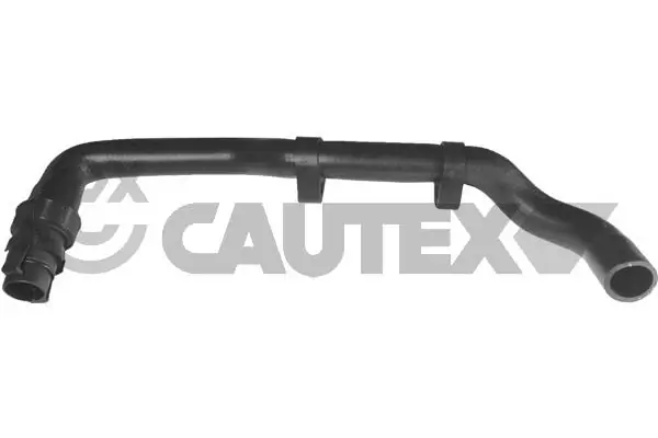036053 Cautex
