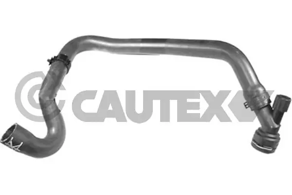 466788 Cautex