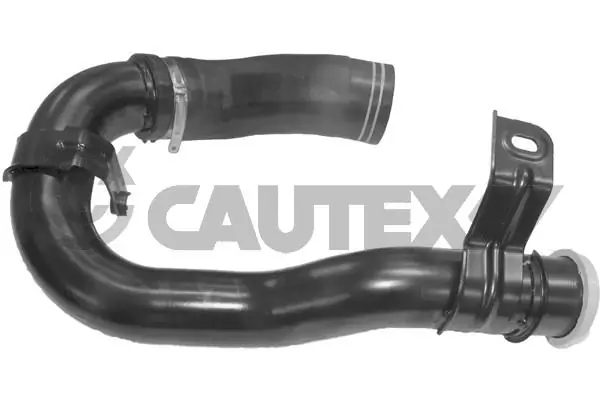 754425 Cautex
