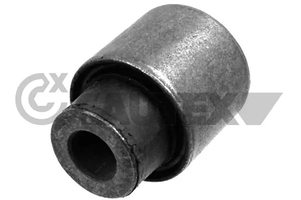 030074 Cautex