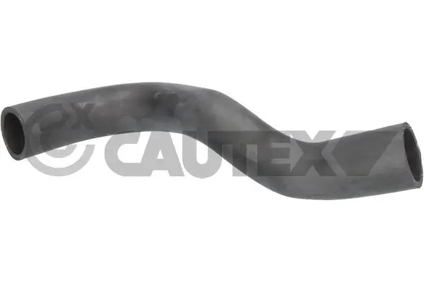086258 Cautex
