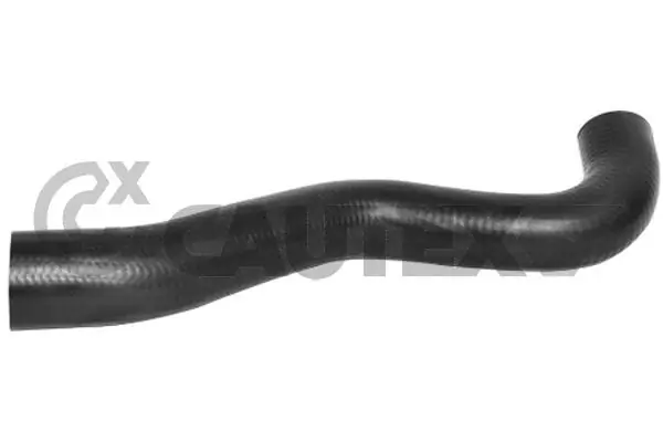 754534 Cautex