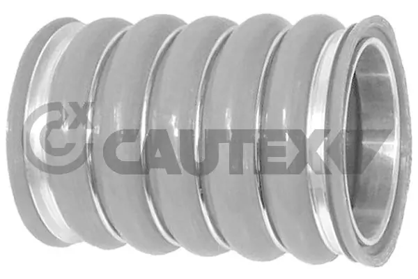 767111 Cautex