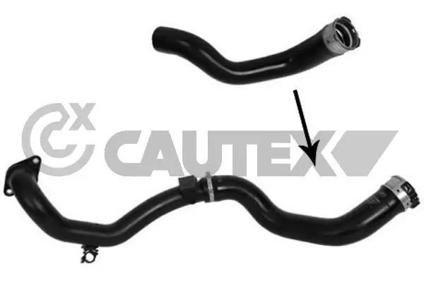 753095 Cautex