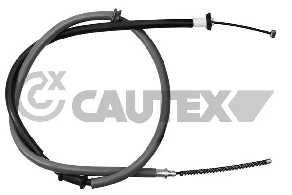038496 Cautex