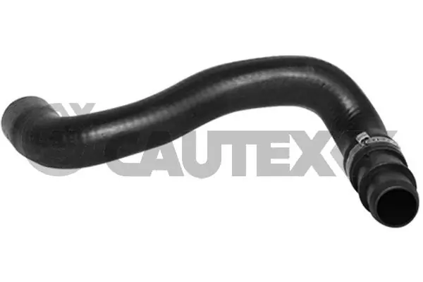 753298 Cautex