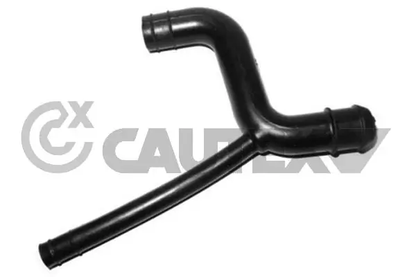 753074 Cautex