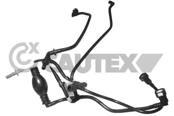 036800 Cautex