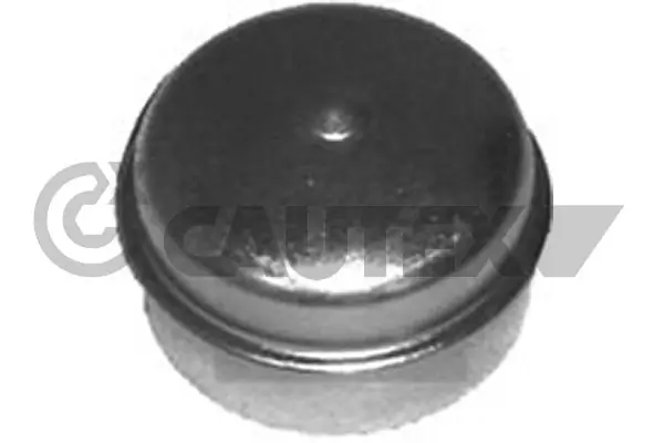 951018 Cautex