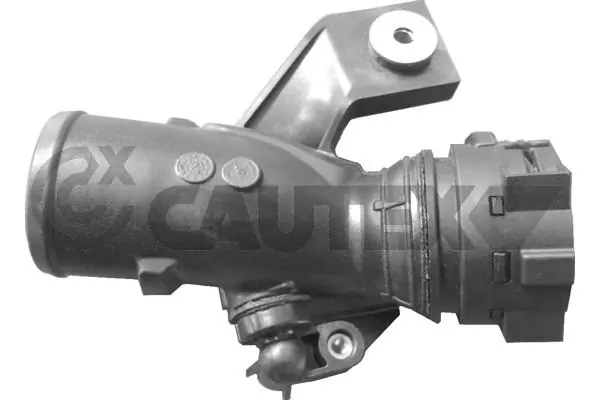 066584 Cautex