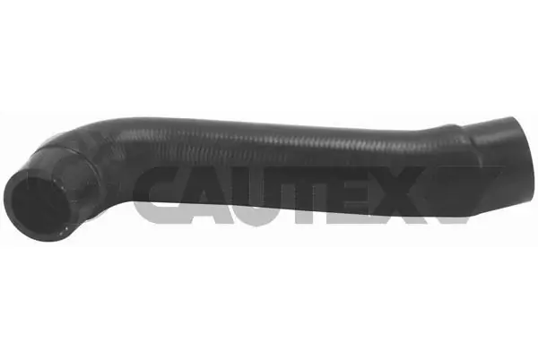 466805 Cautex