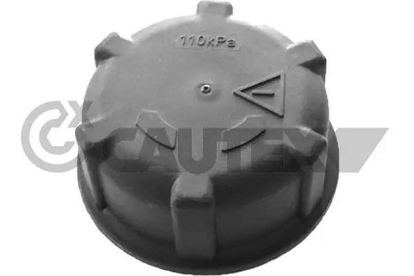 Tampa (tampão) do tanque de expansão 1867861 DAF
