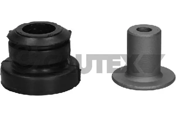 210036 Cautex