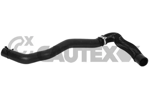 753428 Cautex