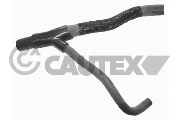 753512 Cautex