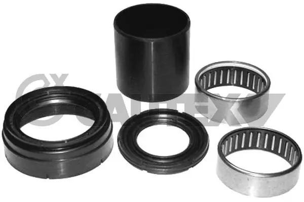 031446 Cautex
