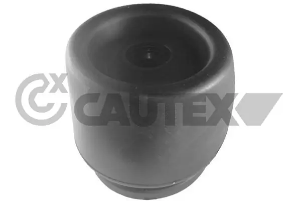010222 Cautex