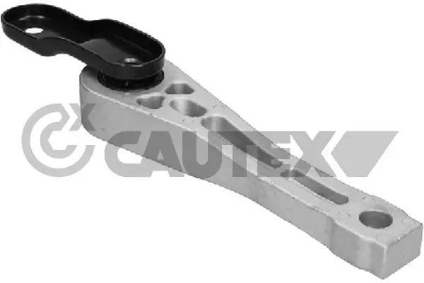 461054 Cautex