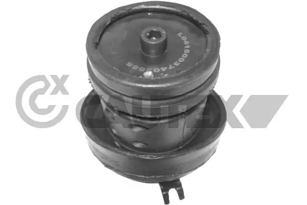 010470 Cautex