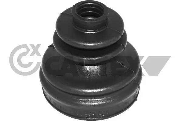 460202 Cautex