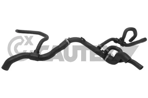 481107 Cautex