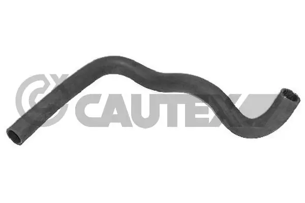 036407 Cautex