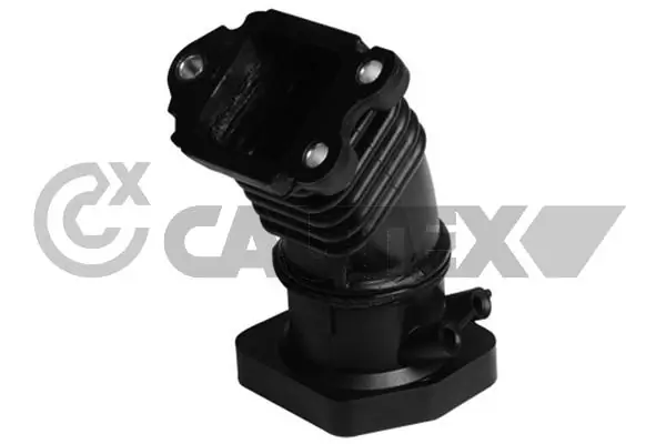 086807 Cautex