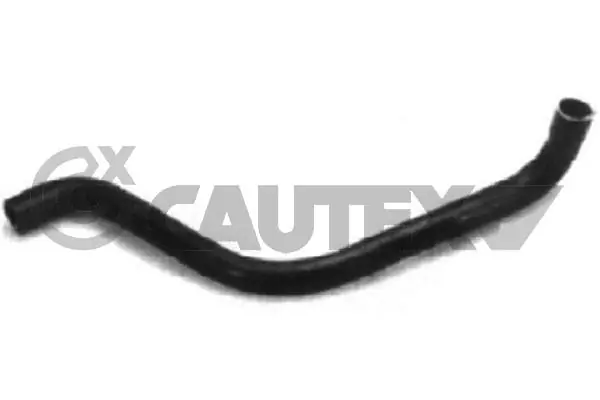 016255 Cautex