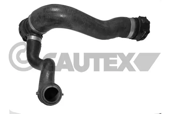 754115 Cautex