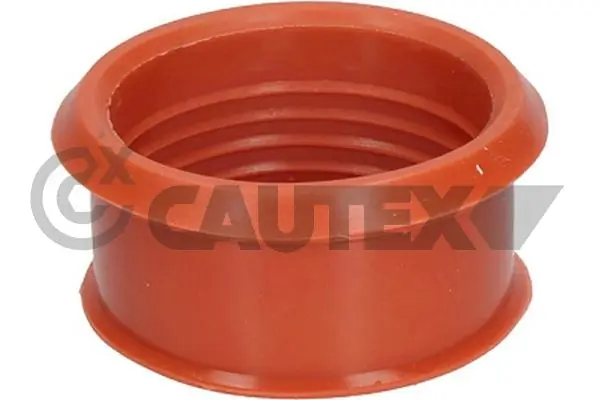 031466 Cautex