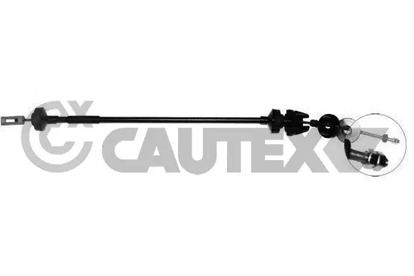 036568 Cautex