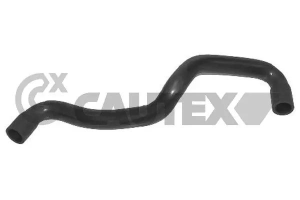 031077 Cautex