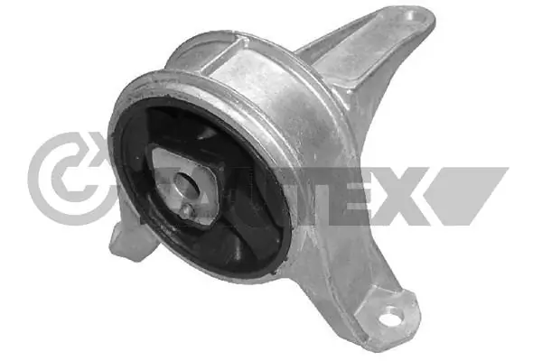 480488 Cautex