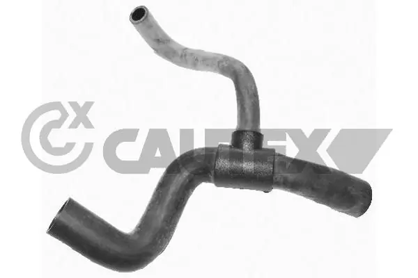 753537 Cautex