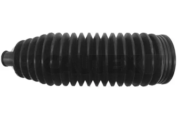 031539 Cautex