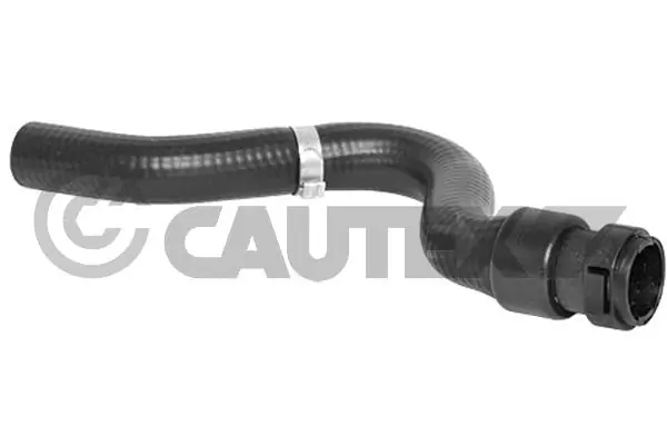 026790 Cautex