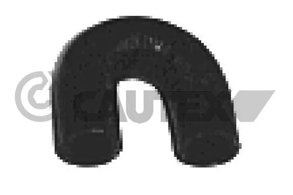 025125 Cautex