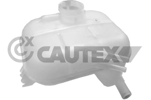 955381 Cautex