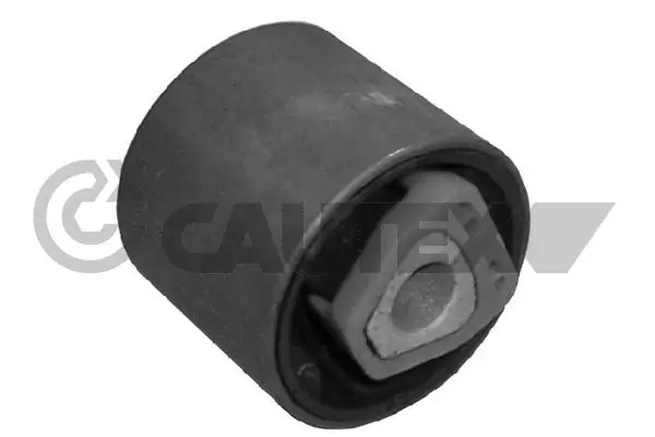 200925 Cautex